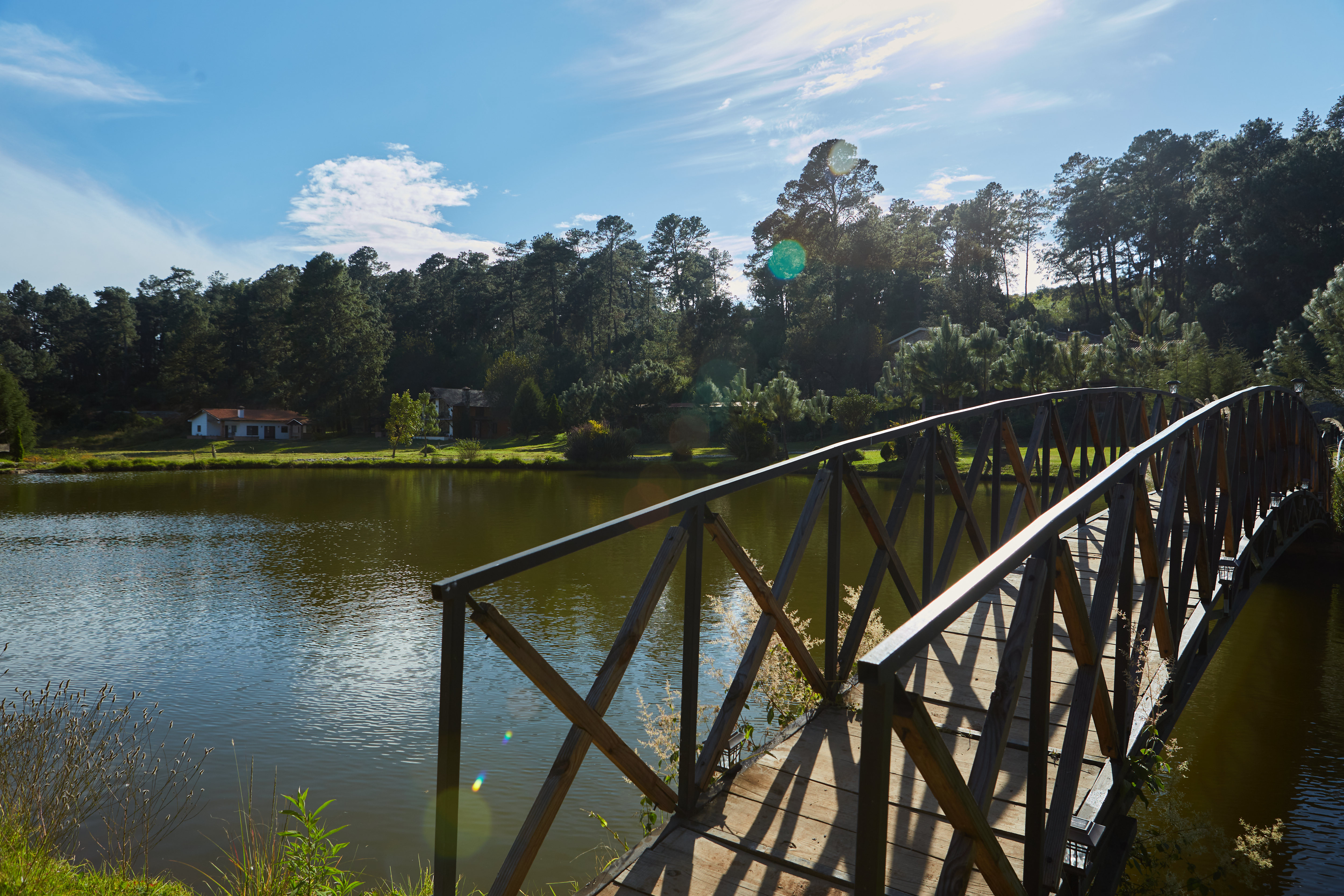 Puente sobre el lago