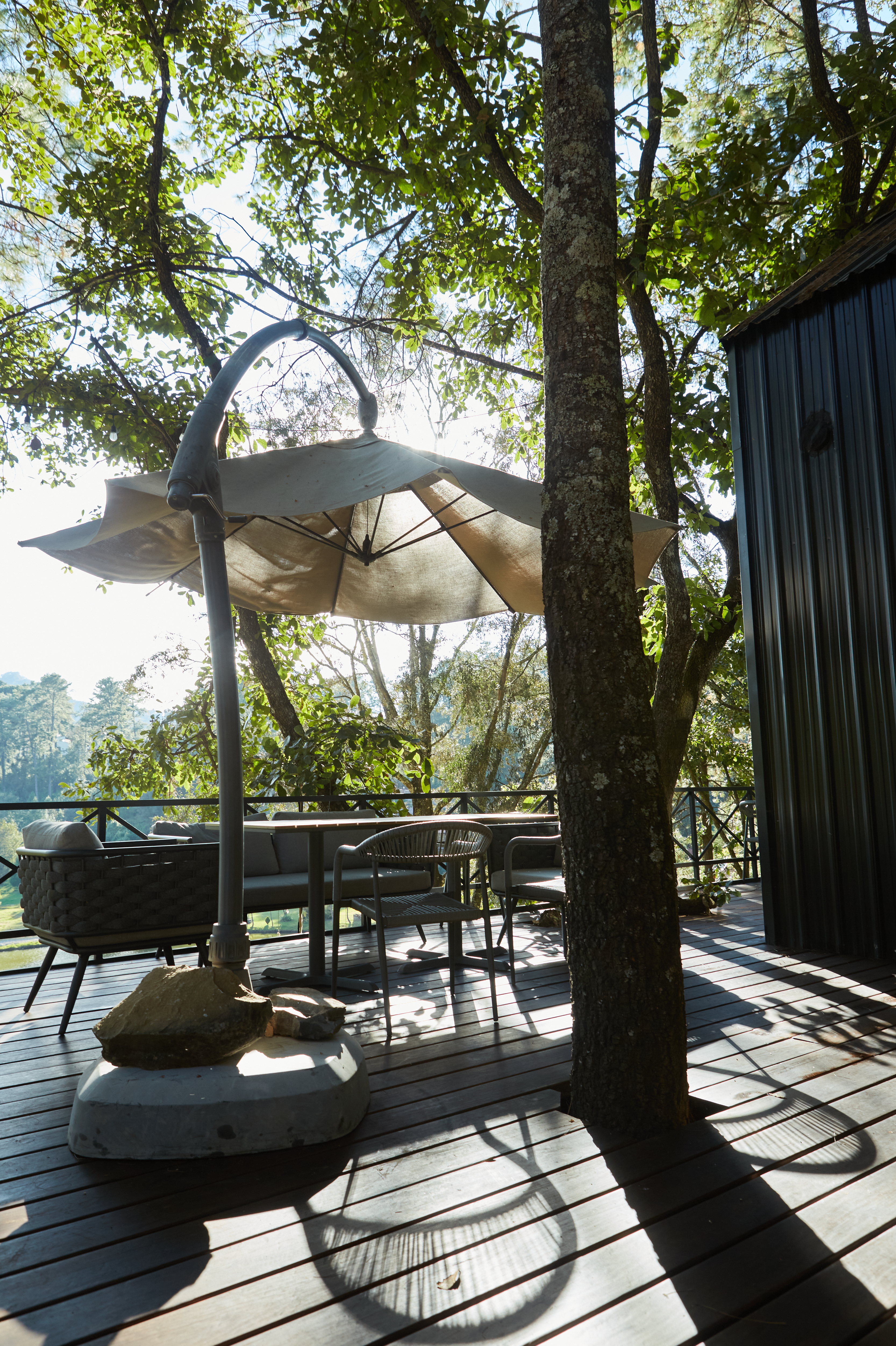 Terraza con vista al bosque