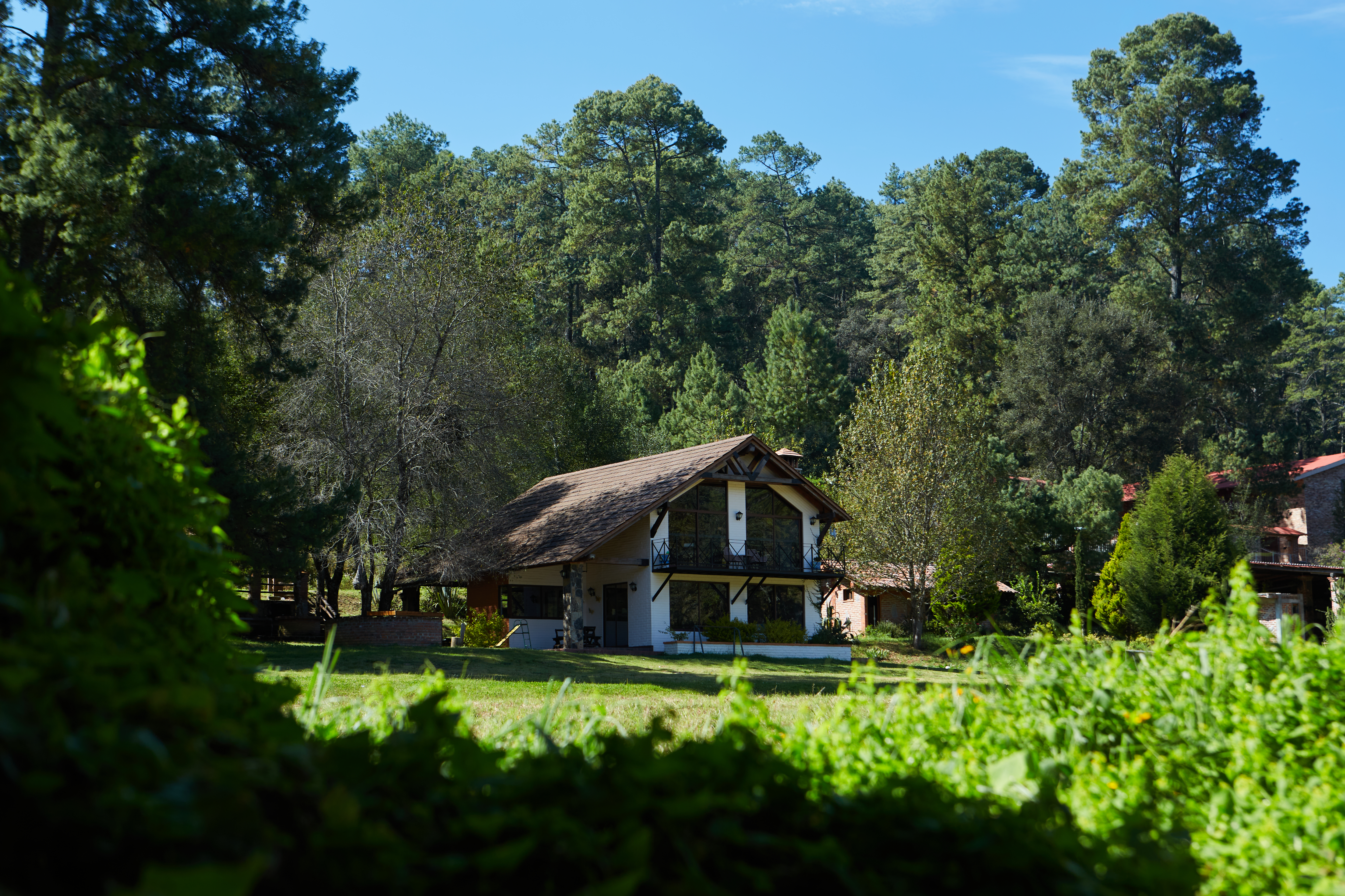 Cabaña en el bosque
